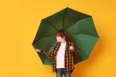 Little boy with green umbrella on orange background