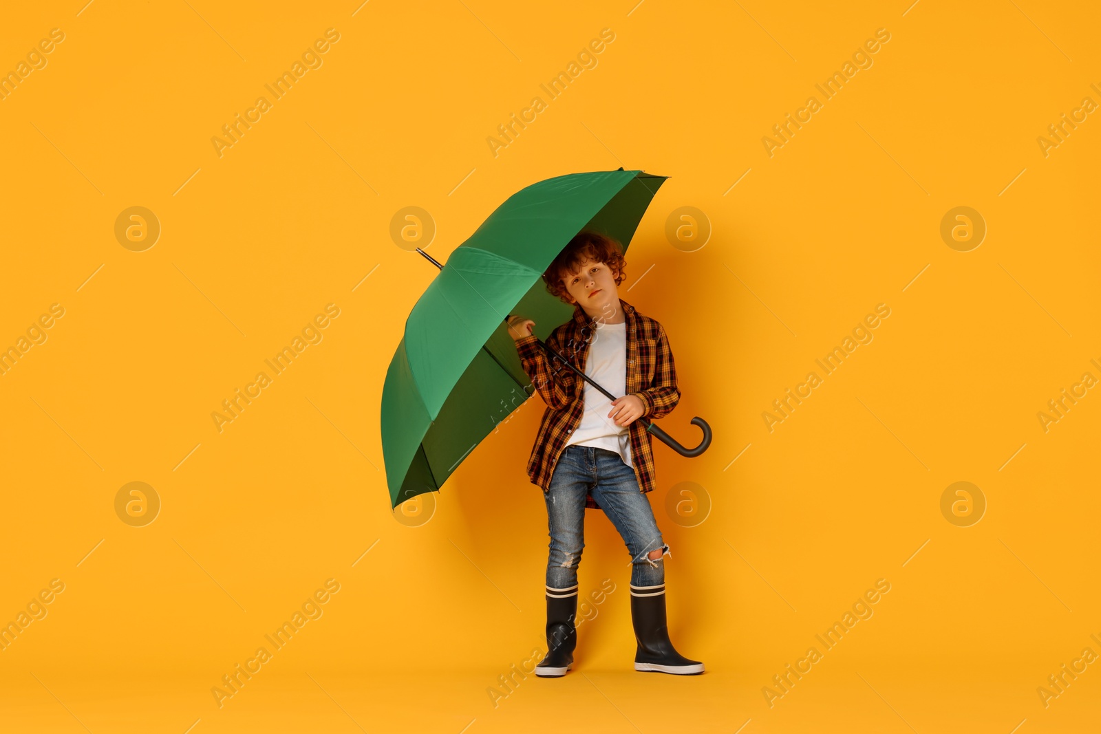 Photo of Little boy with green umbrella on orange background