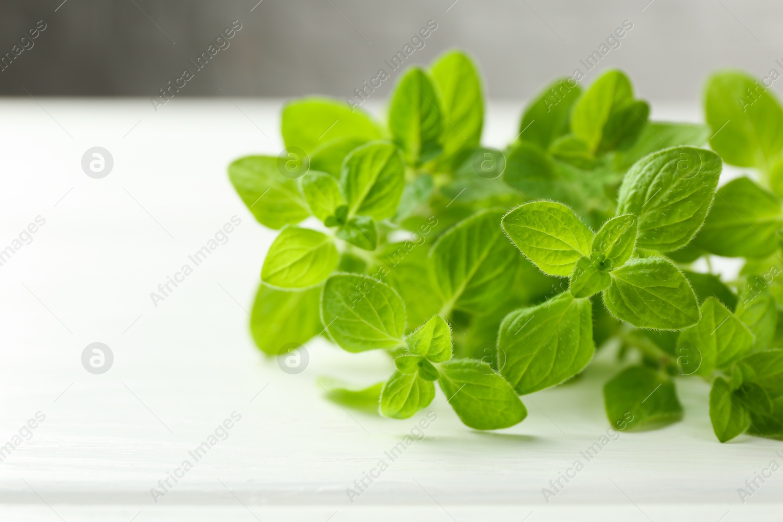 Photo of Sprigs of fresh green oregano on white wooden table, closeup. Space for text