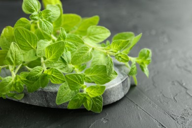 Photo of Sprigs of fresh green oregano on dark gray textured table, closeup