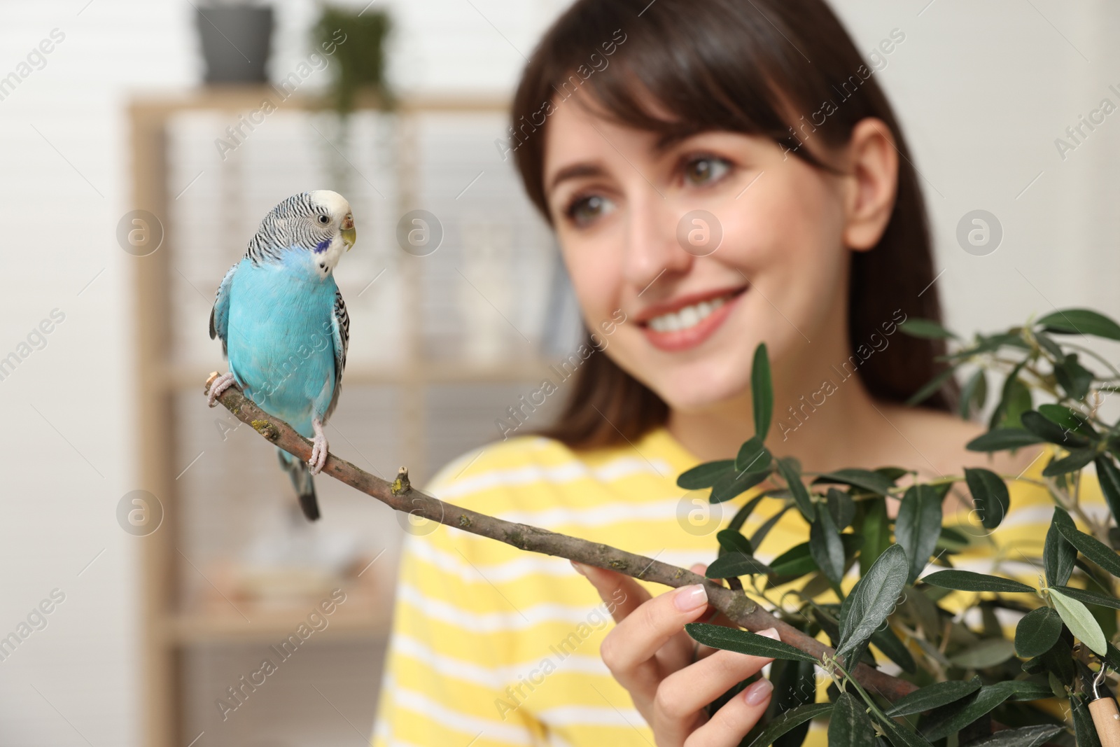 Photo of Woman with bright parrot indoors, selective focus. Exotic pet