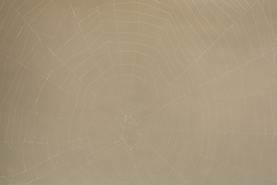 Photo of Creepy cobweb against gray background, closeup view