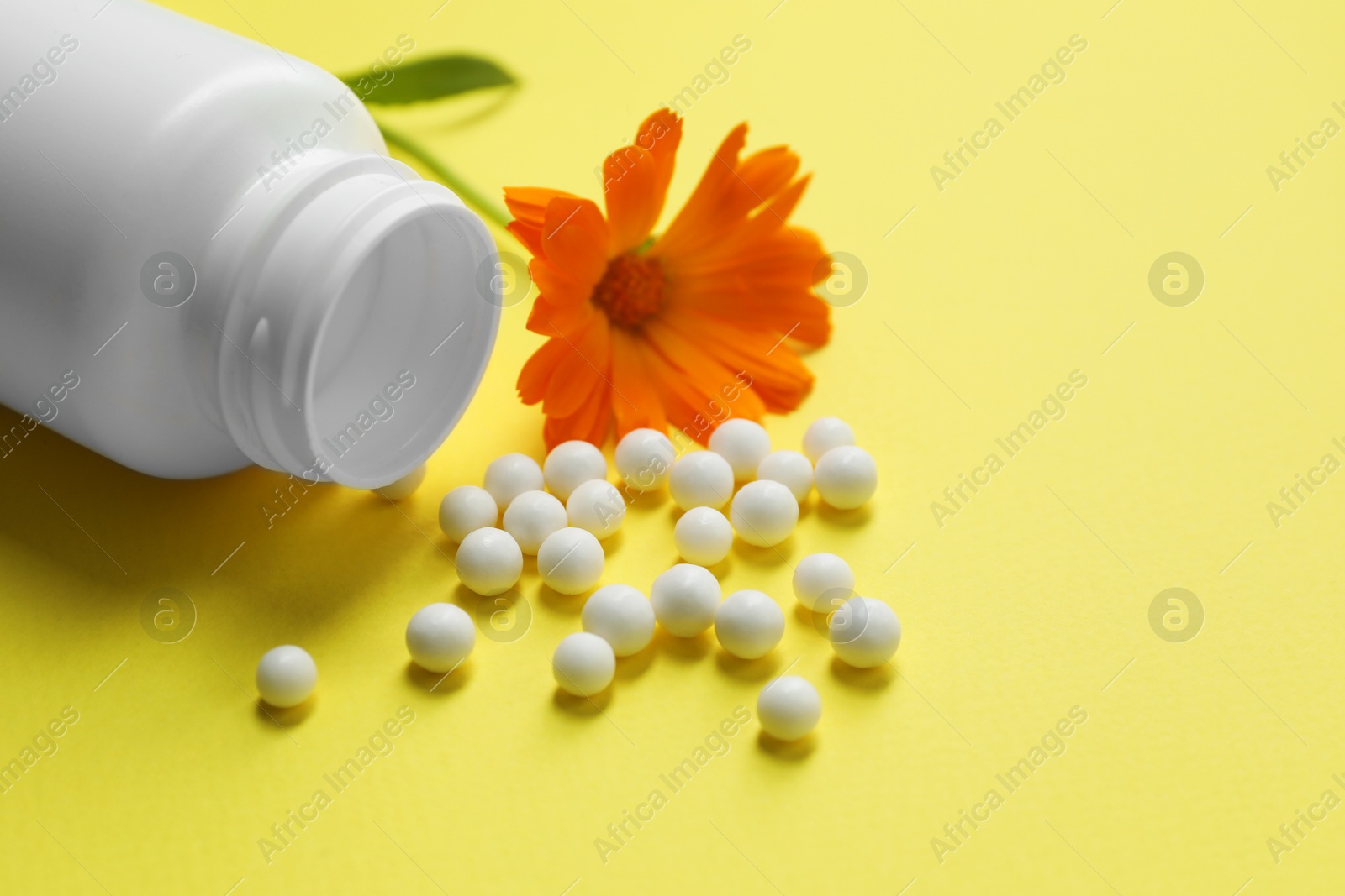 Photo of Homeopathic remedy, bottle and calendula on yellow background, closeup. Space for text