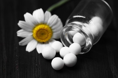 Homeopathy. Glass bottle with pills and chamomile flower on black wooden table, closeup