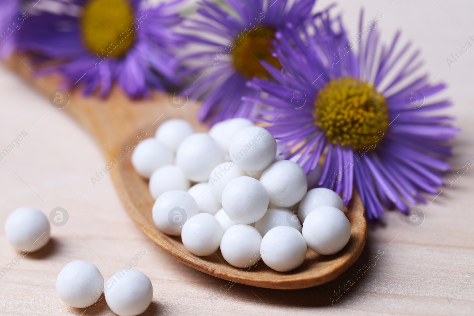 Photo of Homeopathy. Spoon with pills and wild flowers on wooden table, closeup