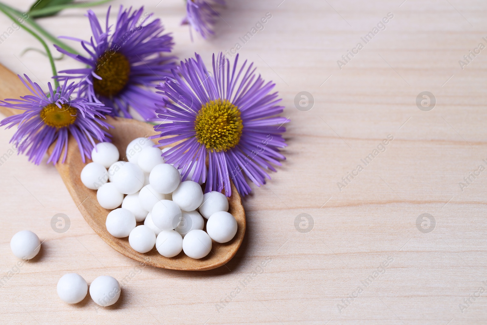 Photo of Homeopathy. Spoon with pills and wild flowers on wooden table, space for text