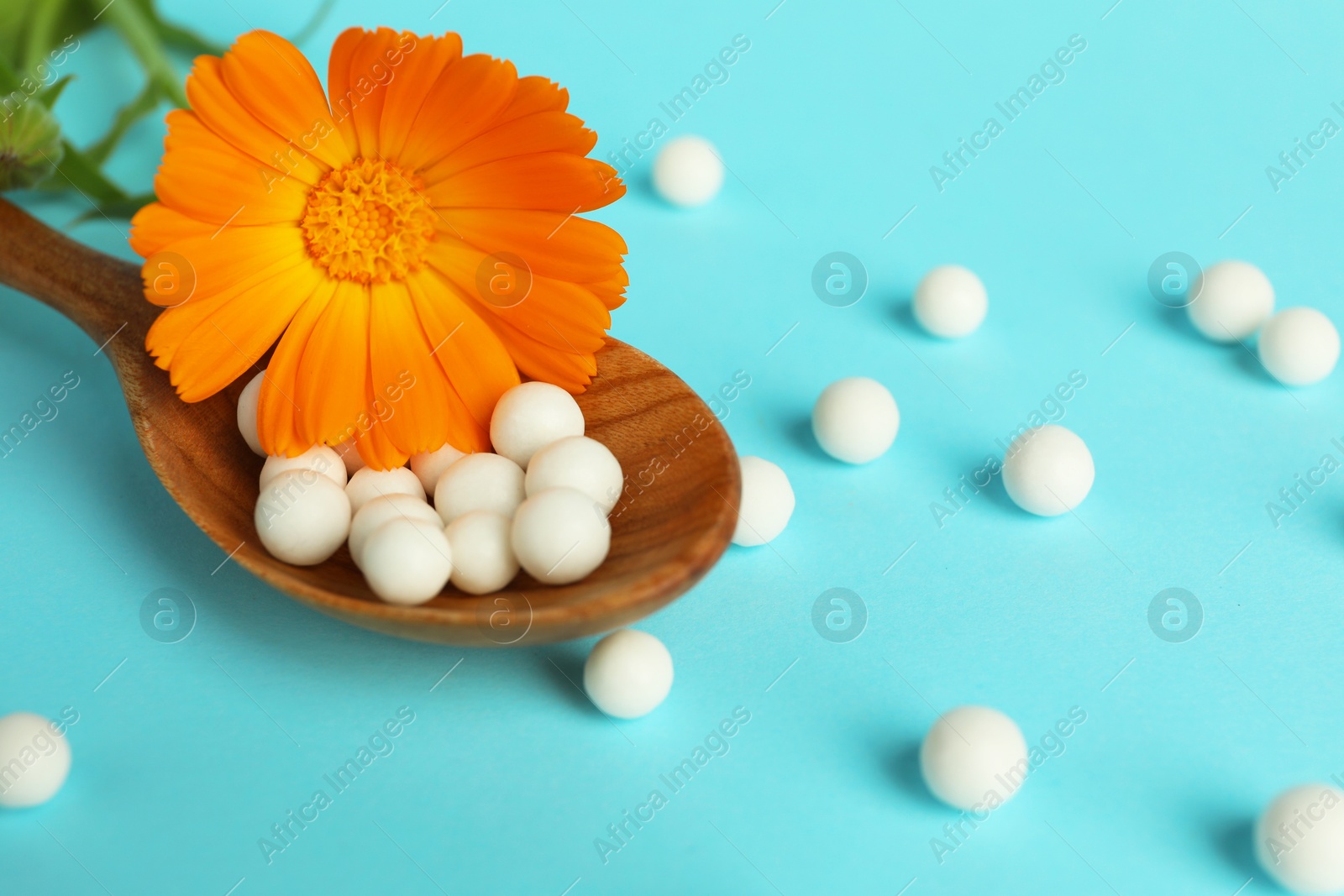 Photo of Homeopathy. Wooden spoon with pills and calendula flower on light blue background