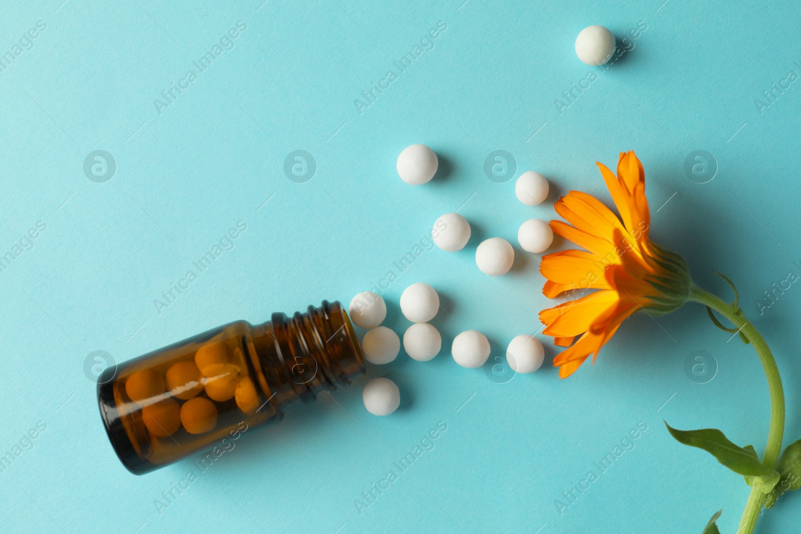 Photo of Homeopathy. Bottle with pills and calendula flower on light blue background, flat lay