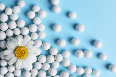 Homeopathy. Many pills and chamomile flower on light blue background, flat lay