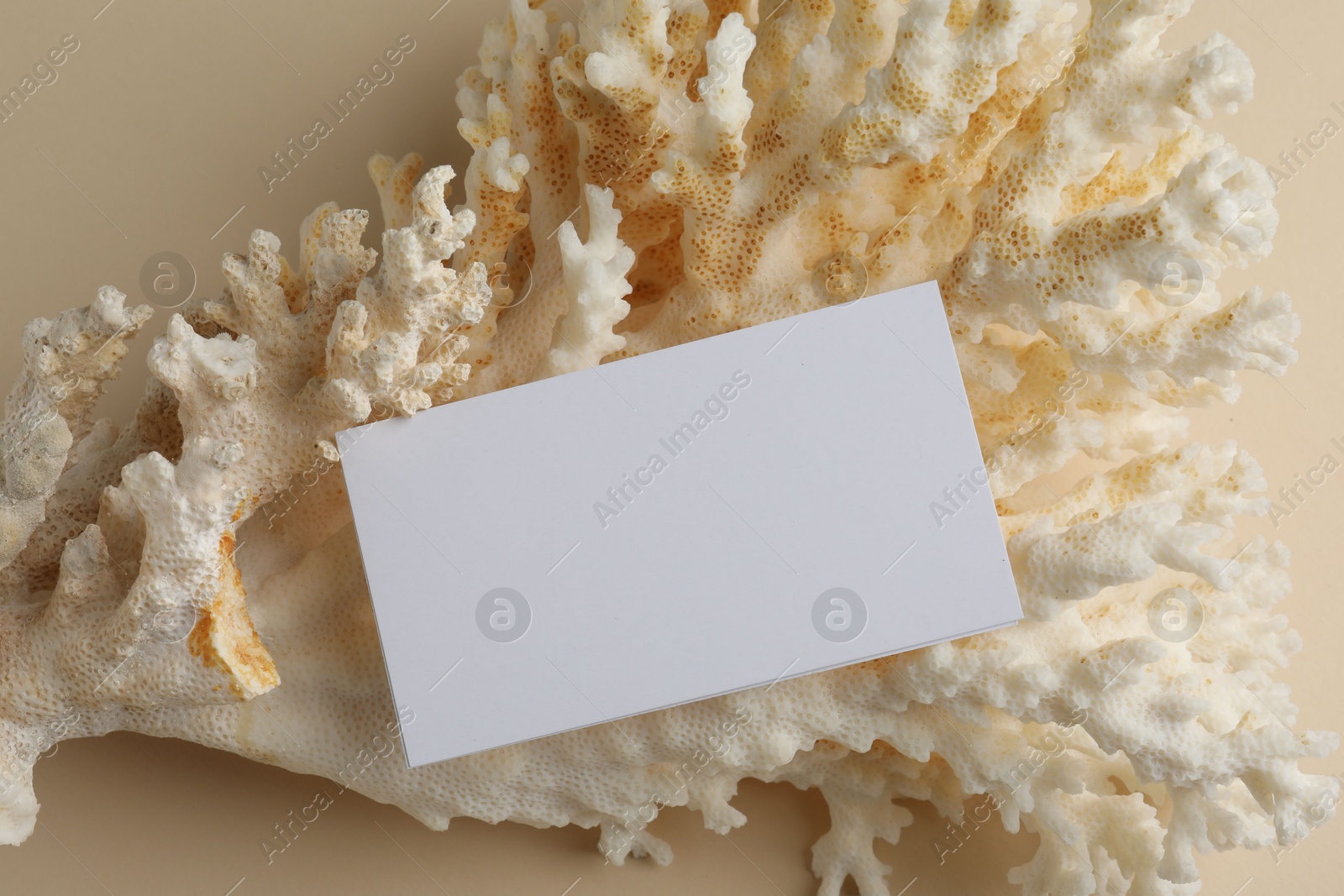 Photo of Blank business card on beige background, top view. Mockup for design