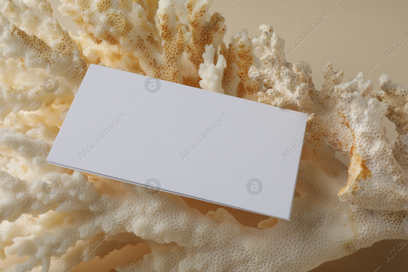 Photo of Blank business card on beige background. Mockup for design