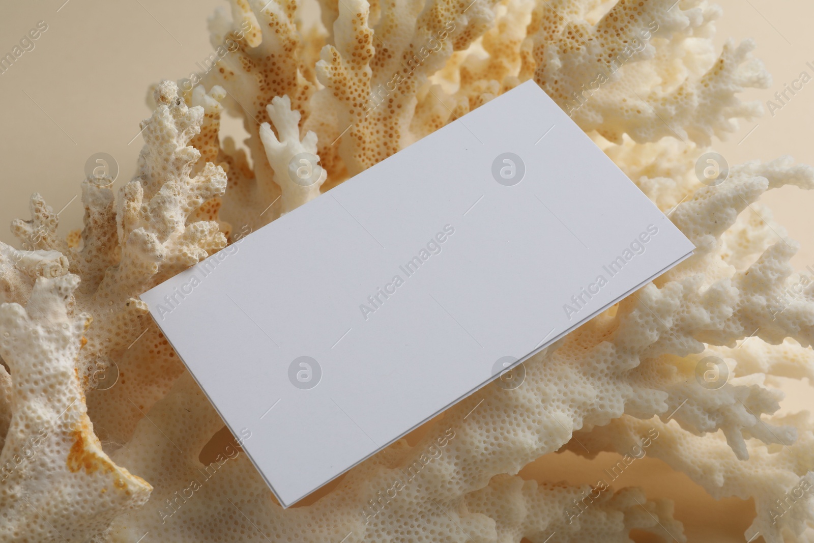 Photo of Blank business card on beige background. Mockup for design