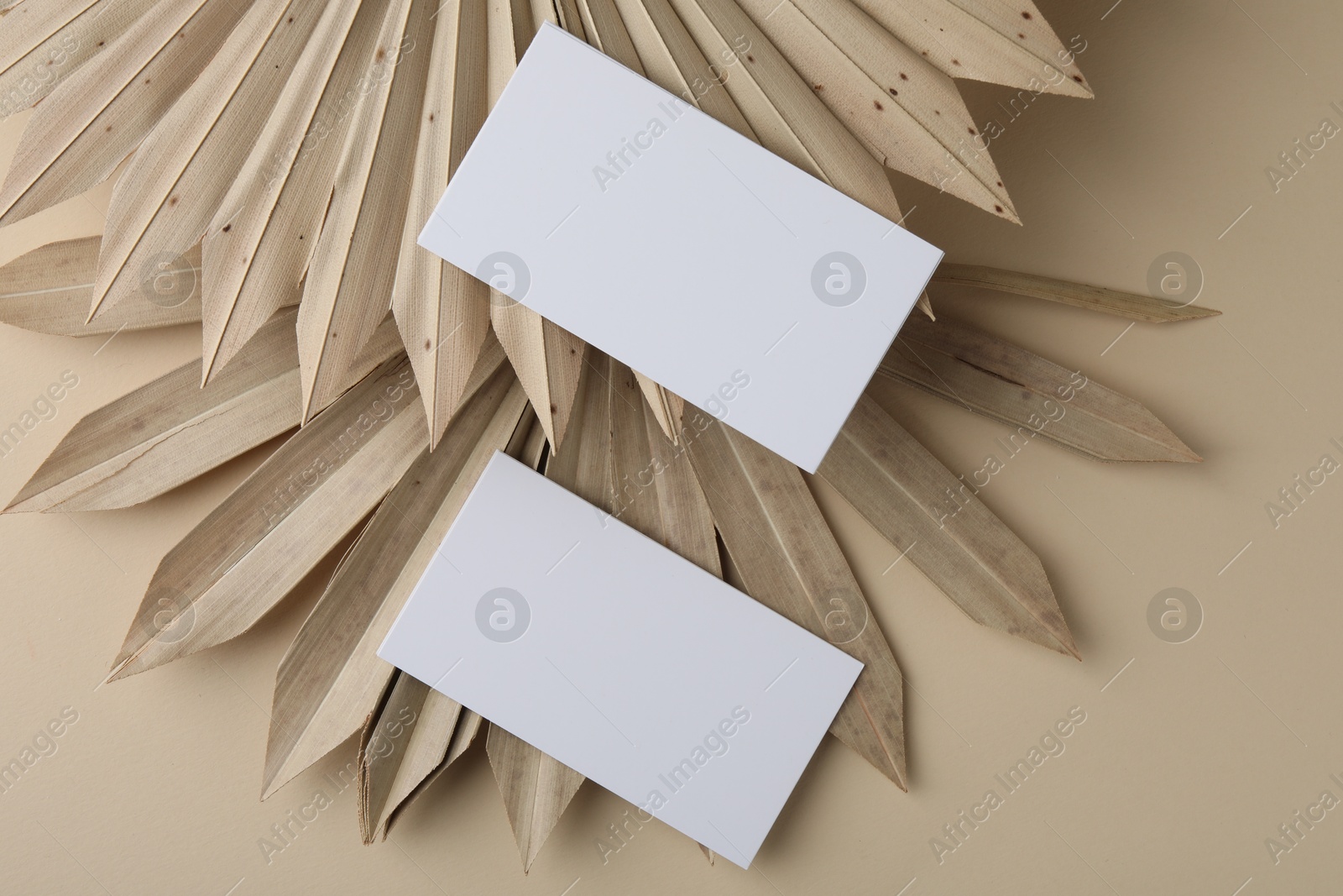 Photo of Blank business cards on beige background, flat lay. Mockup for design