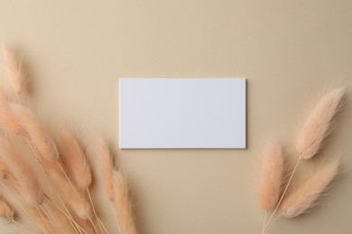 Photo of Blank business cards and dried plants on beige background, flat lay. Mockup for design