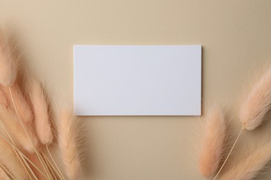 Photo of Blank business cards and dried plants on beige background, flat lay. Mockup for design