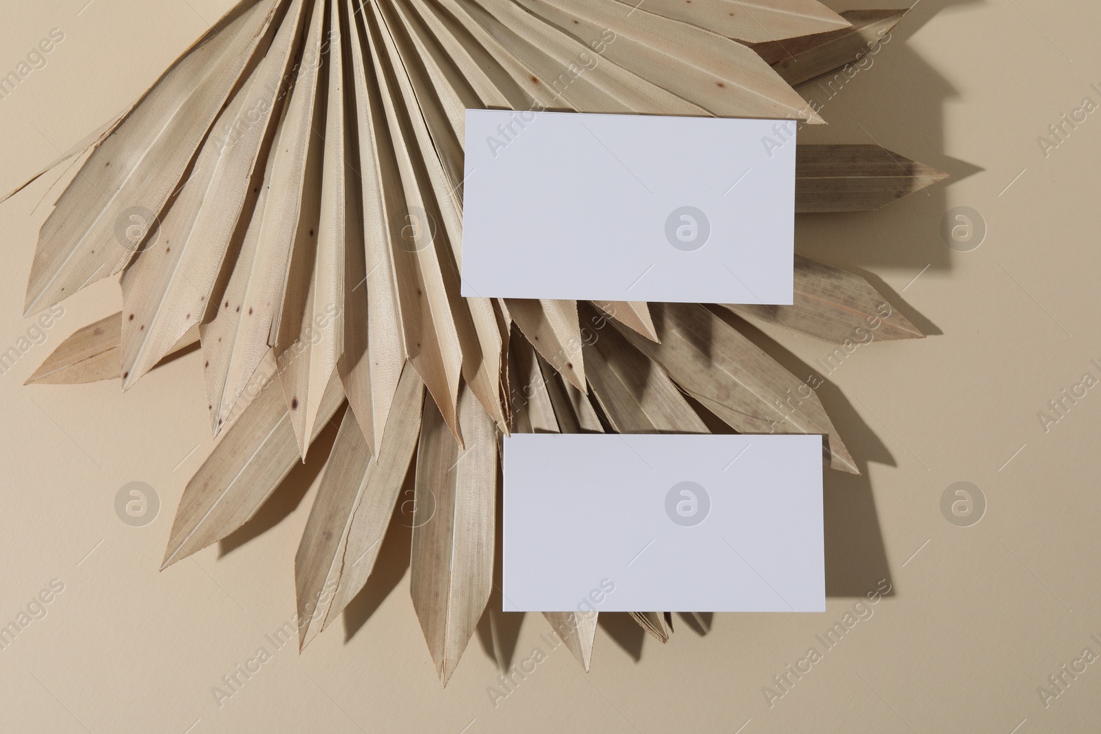 Photo of Blank business cards on beige background, flat lay. Mockup for design