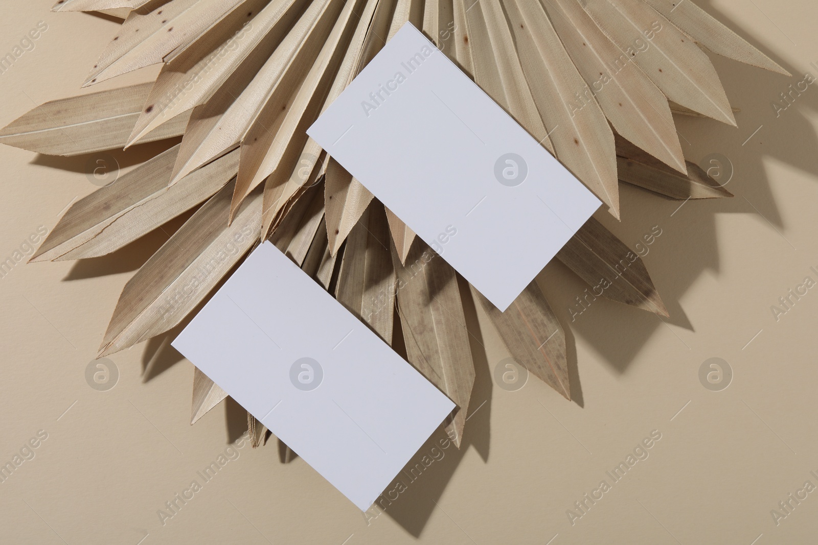 Photo of Blank business cards on beige background, flat lay. Mockup for design