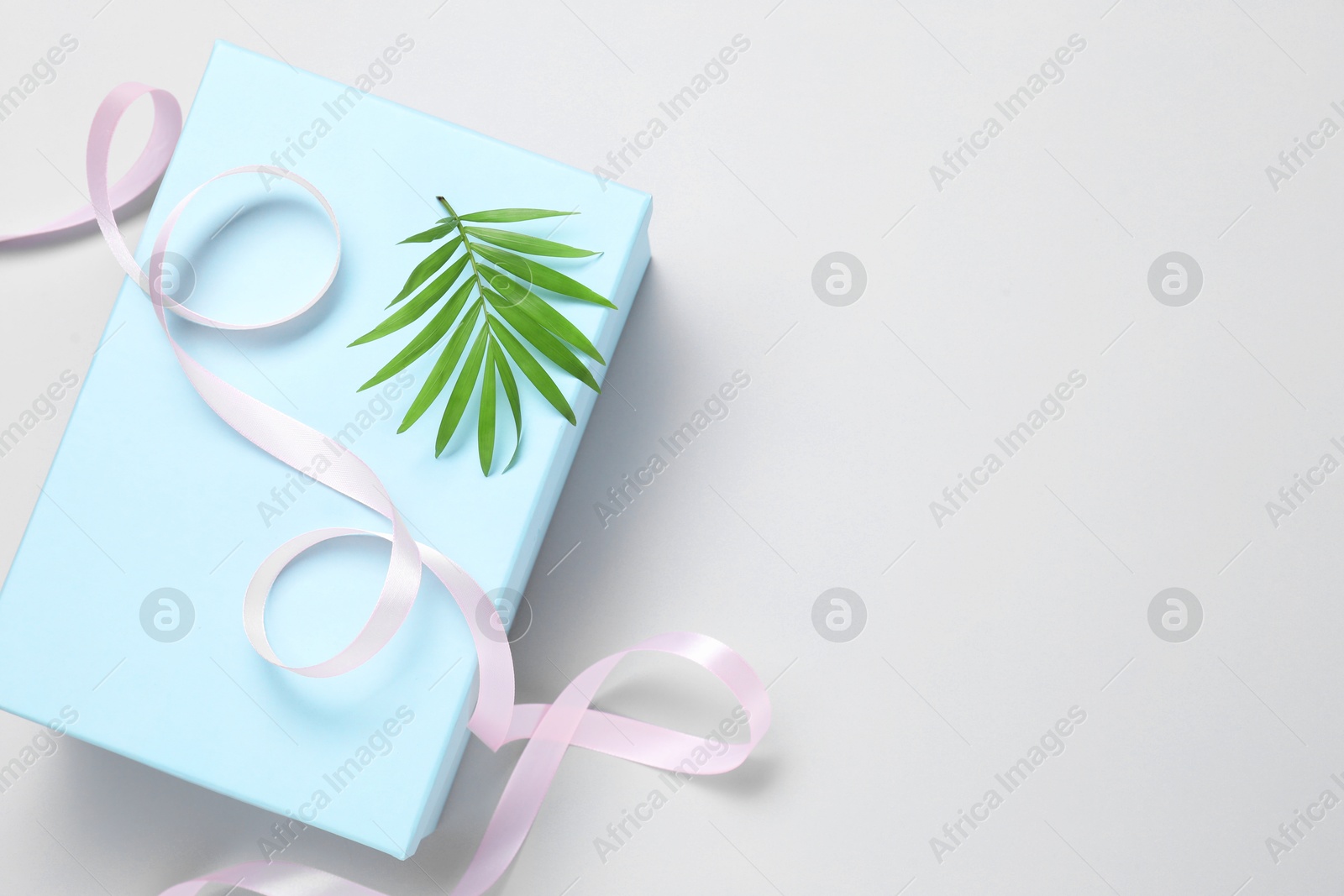 Photo of Beautiful pink ribbon, gift box and palm leaf on white background, top view. Space for text