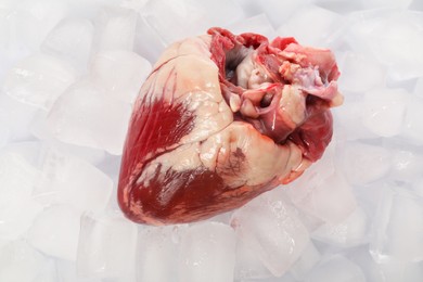 Photo of One heart on ice cubes, top view