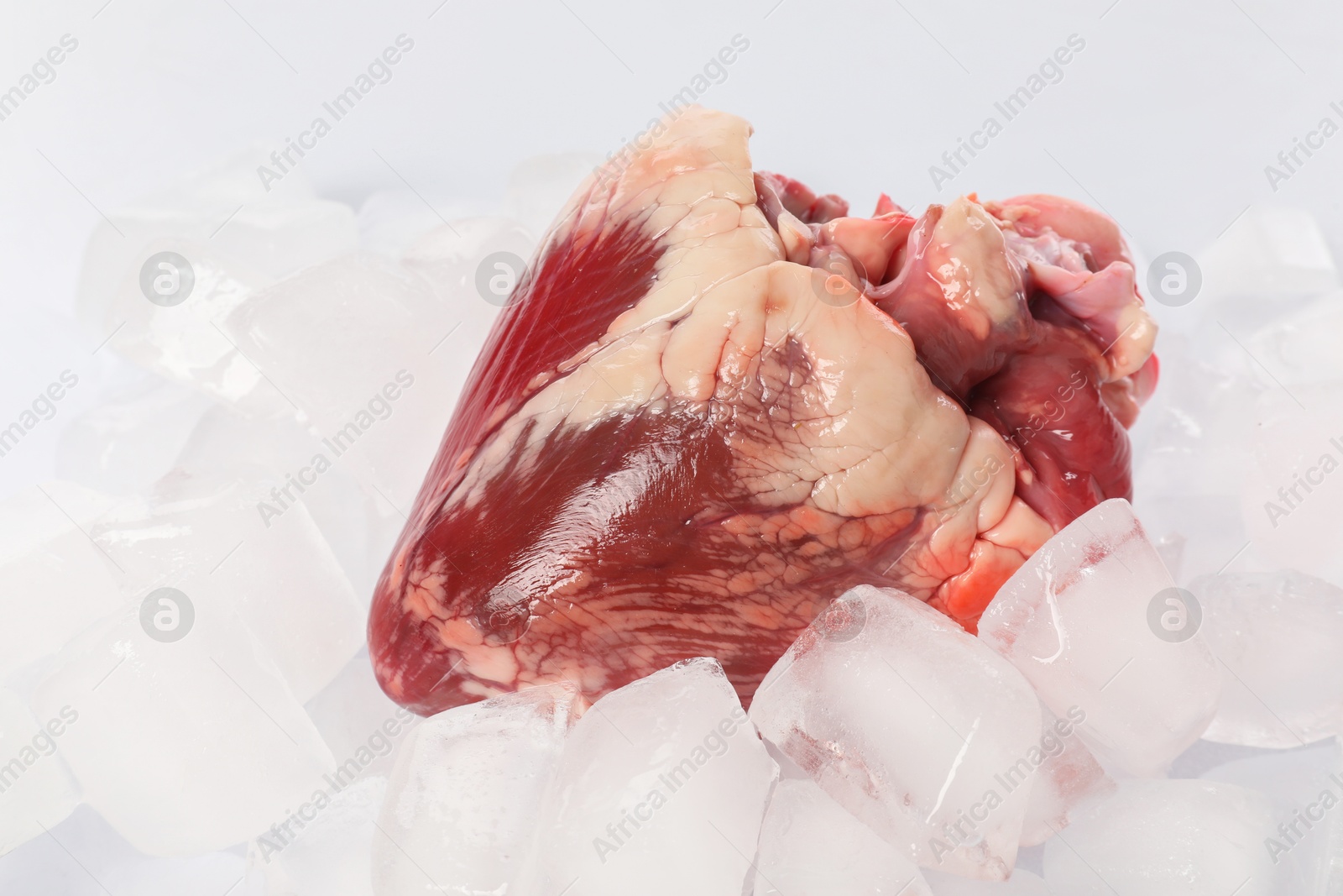 Photo of One heart on ice cubes, closeup view