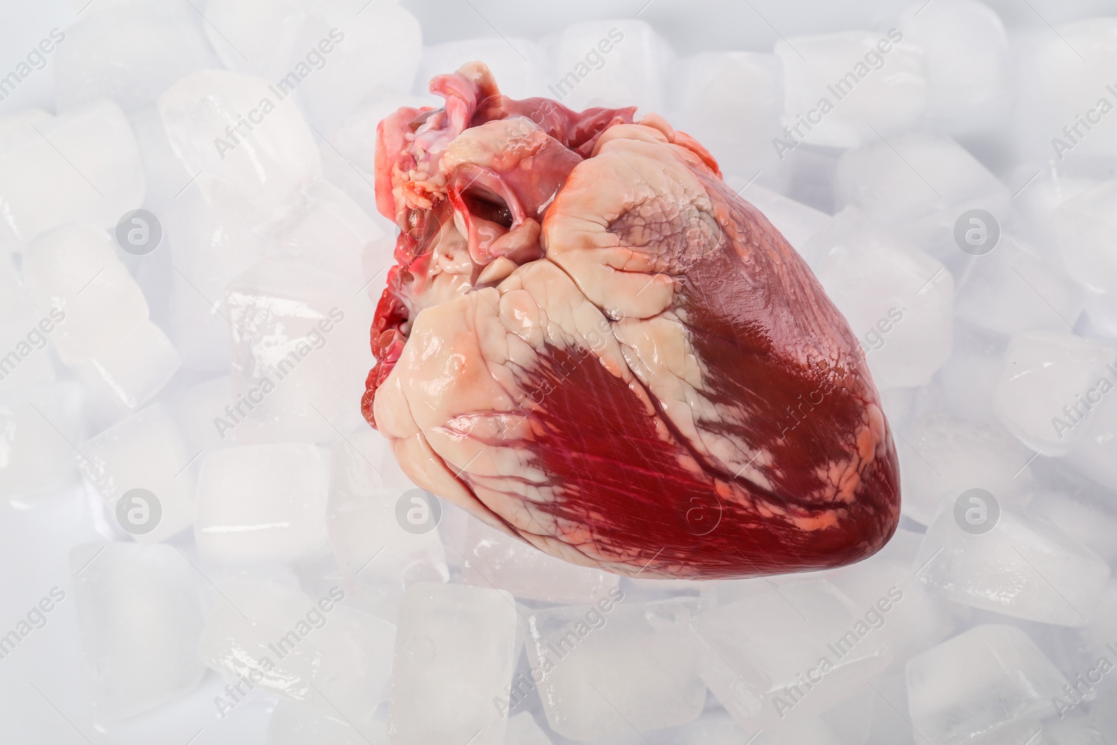 Photo of One heart on ice cubes, top view