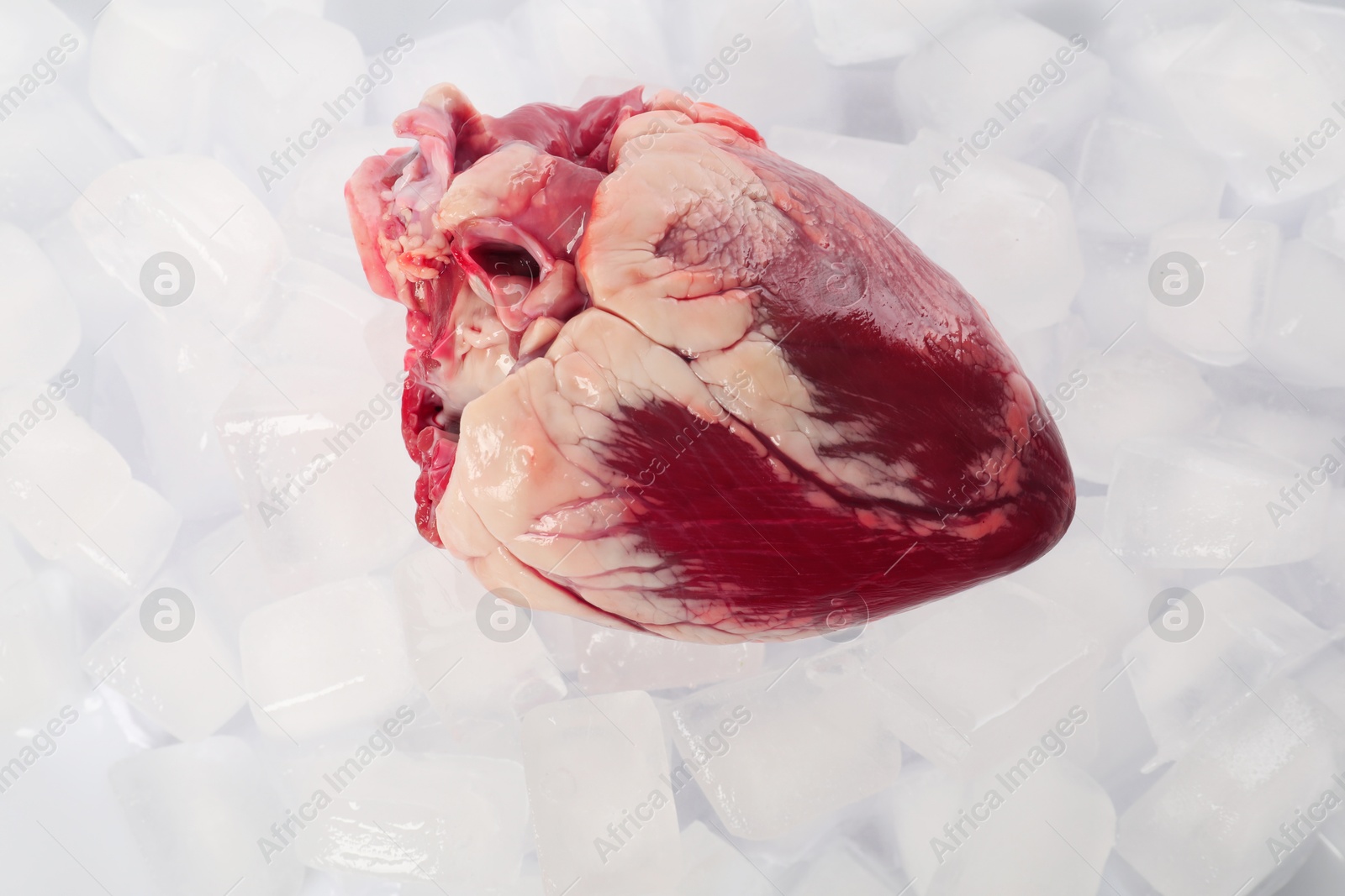 Photo of One heart on ice cubes, top view