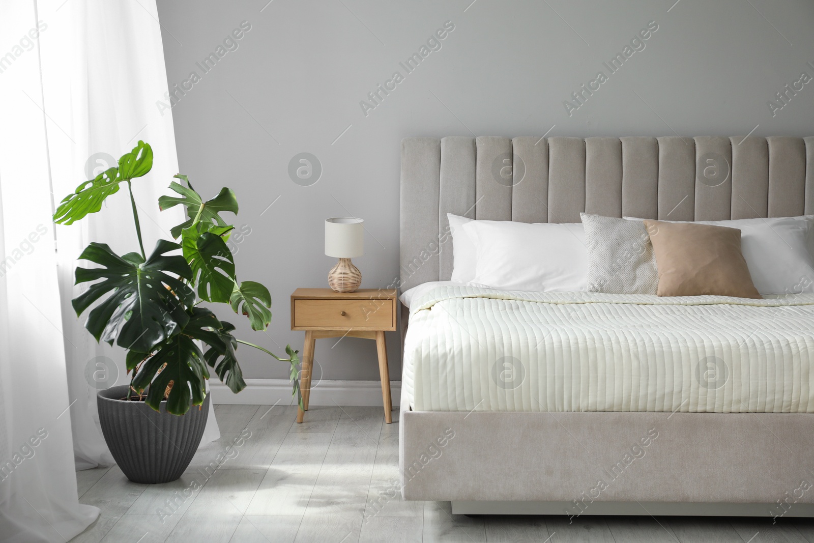 Photo of Stylish contemporary bedroom interior with houseplant and comfortable bed