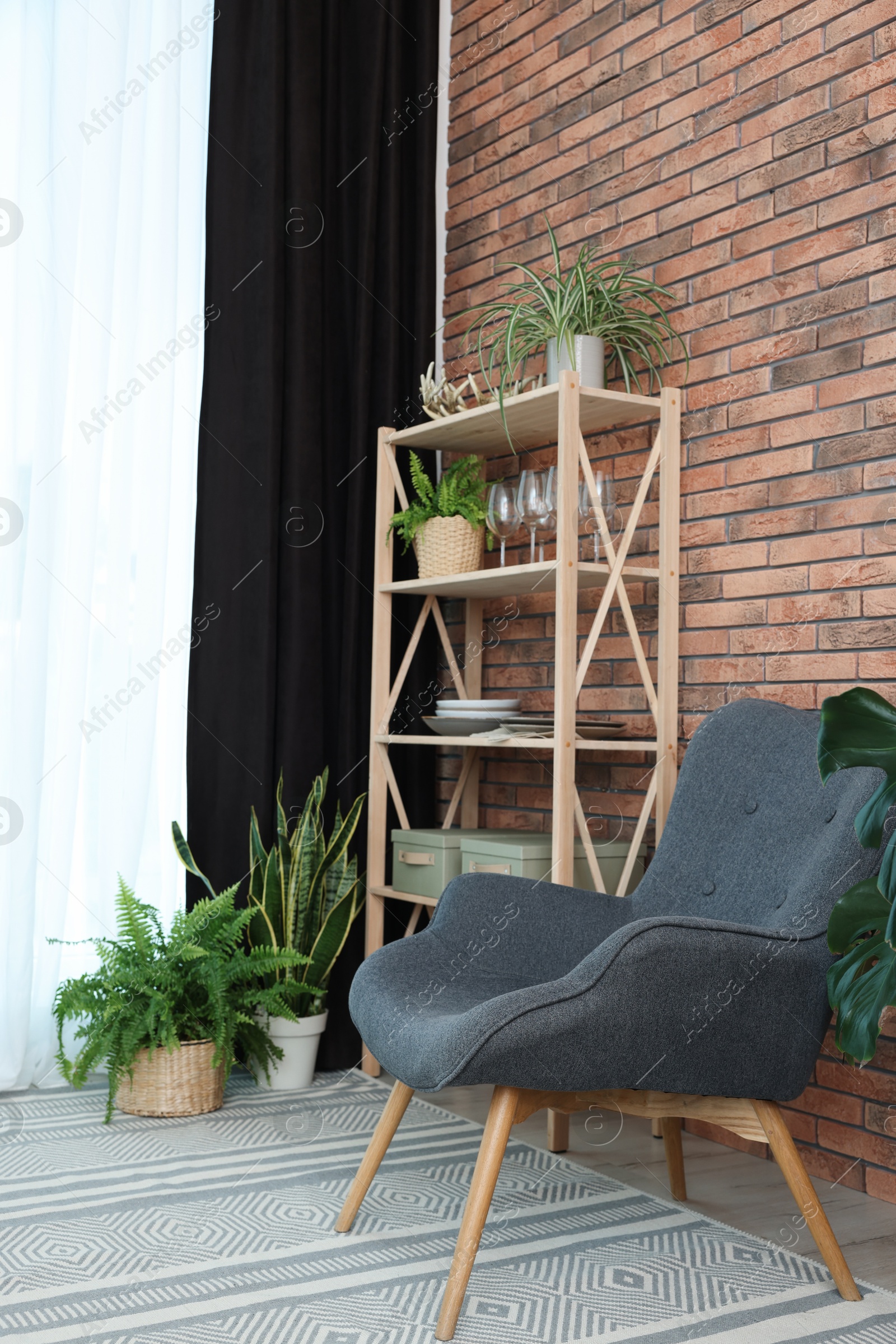 Photo of Shelving unit, green houseplants, armchair and elegant curtain in room. Interior design