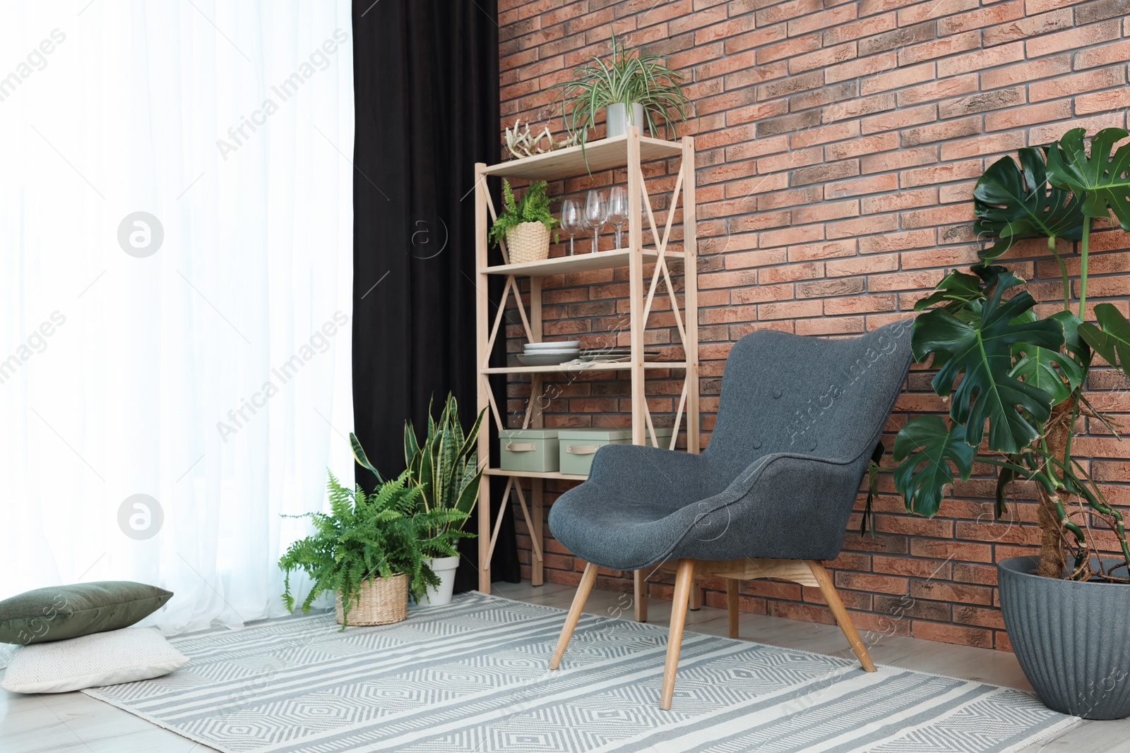 Photo of Shelving unit, green houseplants, armchair, pillows and elegant curtain in room. Interior design