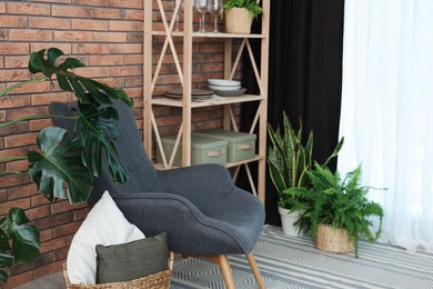 Photo of Shelving unit, green houseplants, armchair, pillows and elegant curtain in room. Interior design