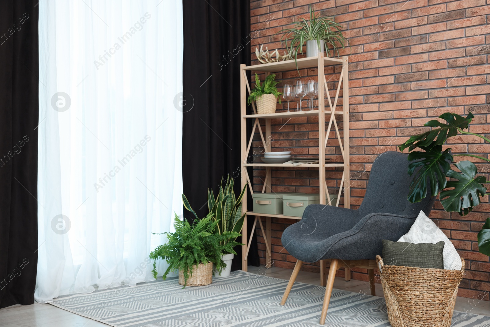 Photo of Shelving unit, green houseplants, armchair, pillows and elegant curtain in room. Interior design