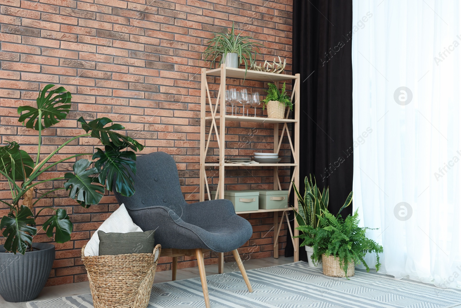 Photo of Shelving unit, green houseplants, armchair, pillows and elegant curtain in room. Interior design