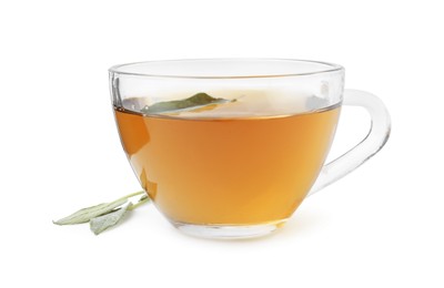 Photo of Aromatic herbal tea in cup with sage isolated on white