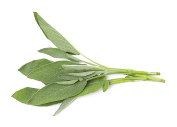 Photo of Leaves of fresh sage isolated on white, top view