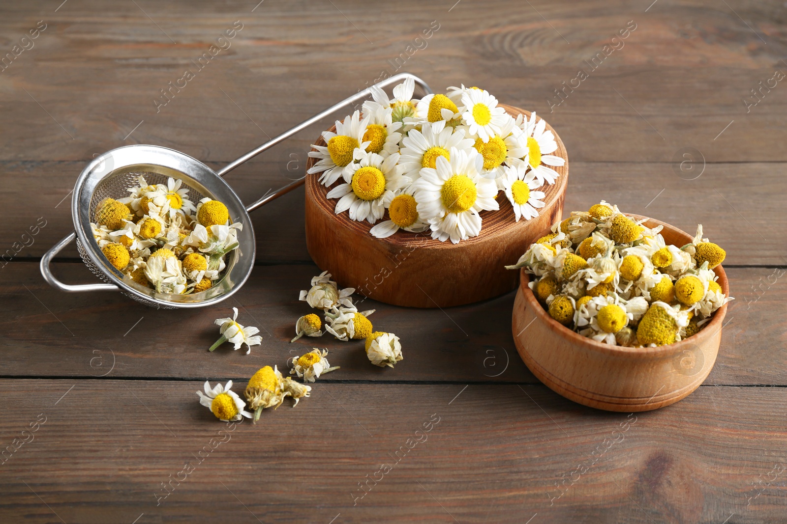 Photo of Dry and fresh chamomile flowers on wooden table