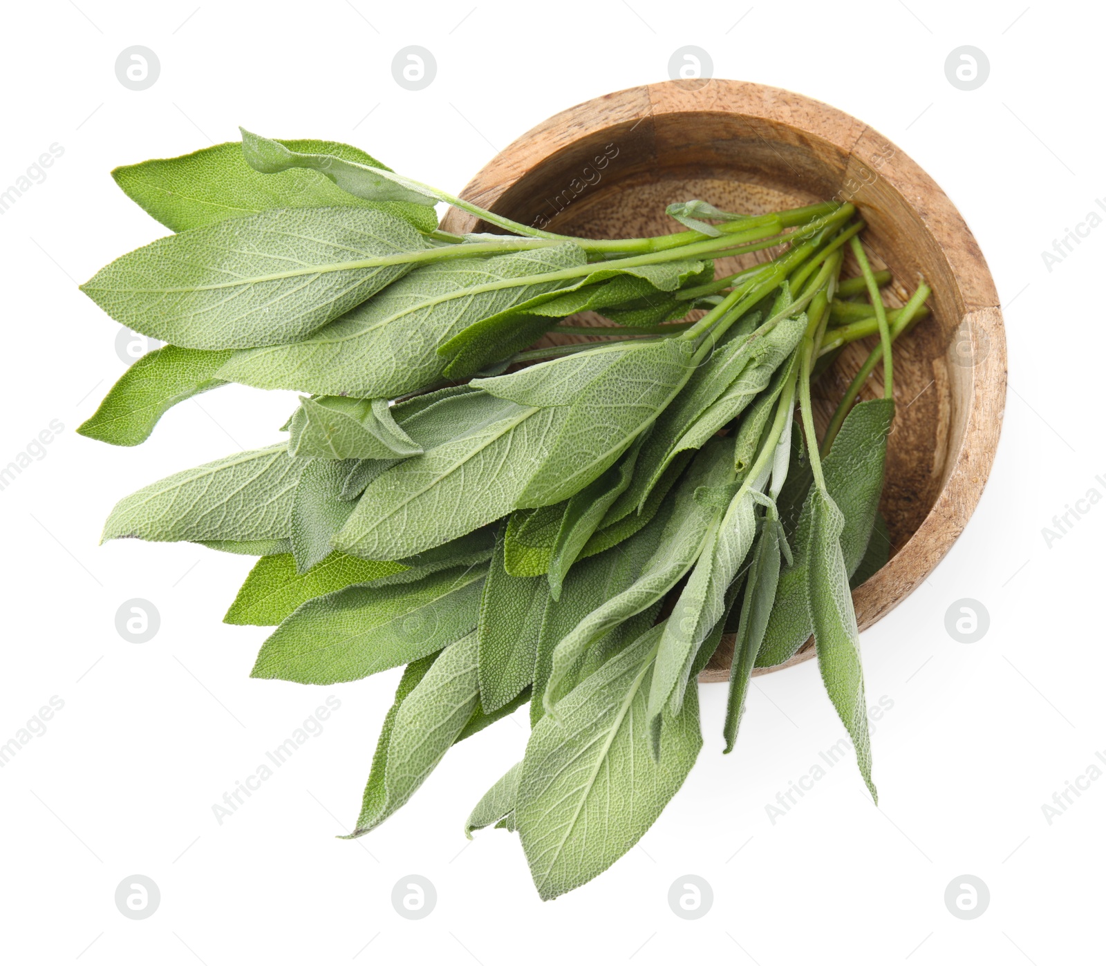 Photo of Leaves of fresh sage in wooden bowl isolated on white, top view