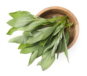 Leaves of fresh sage in wooden bowl isolated on white, top view