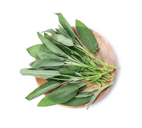 Photo of Leaves of fresh sage isolated on white, top view