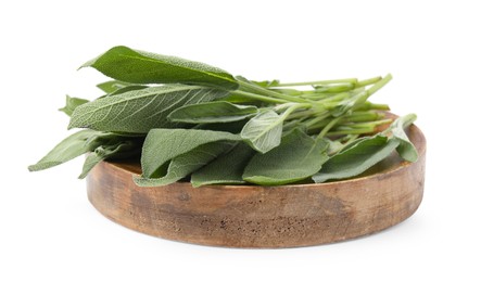 Leaves of fresh sage isolated on white