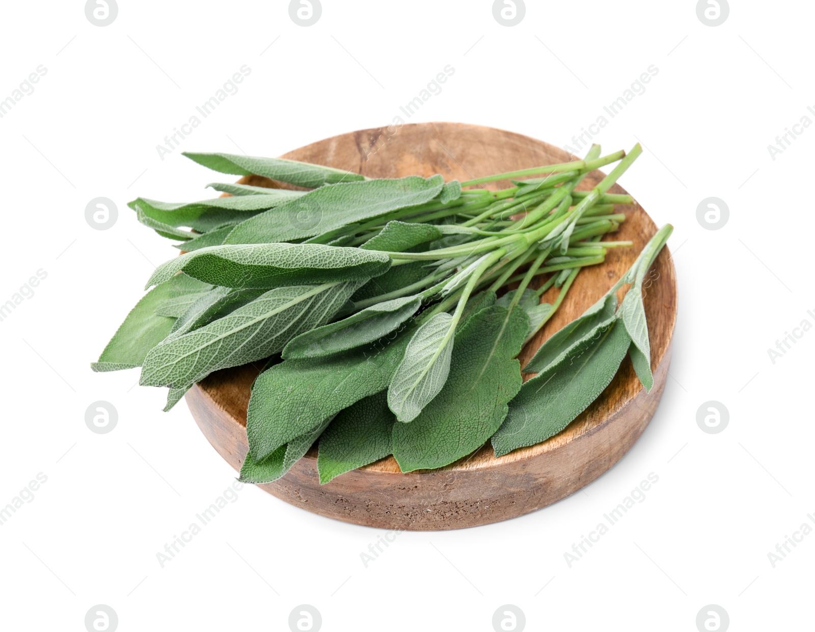 Photo of Leaves of fresh sage isolated on white