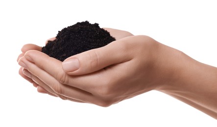 Photo of Woman holding pile of soil on white background, closeup