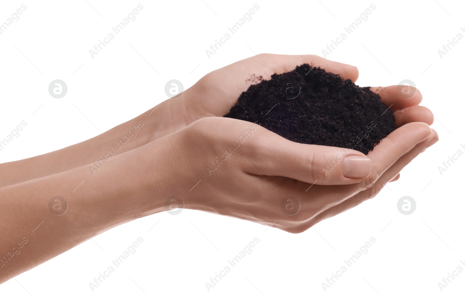 Photo of Woman holding pile of soil on white background, closeup