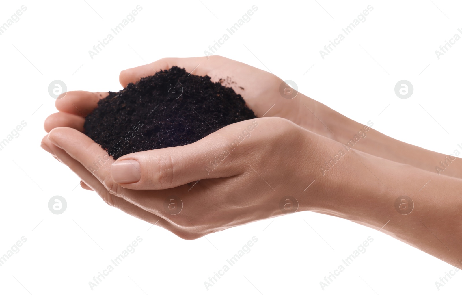 Photo of Woman holding pile of soil on white background, closeup