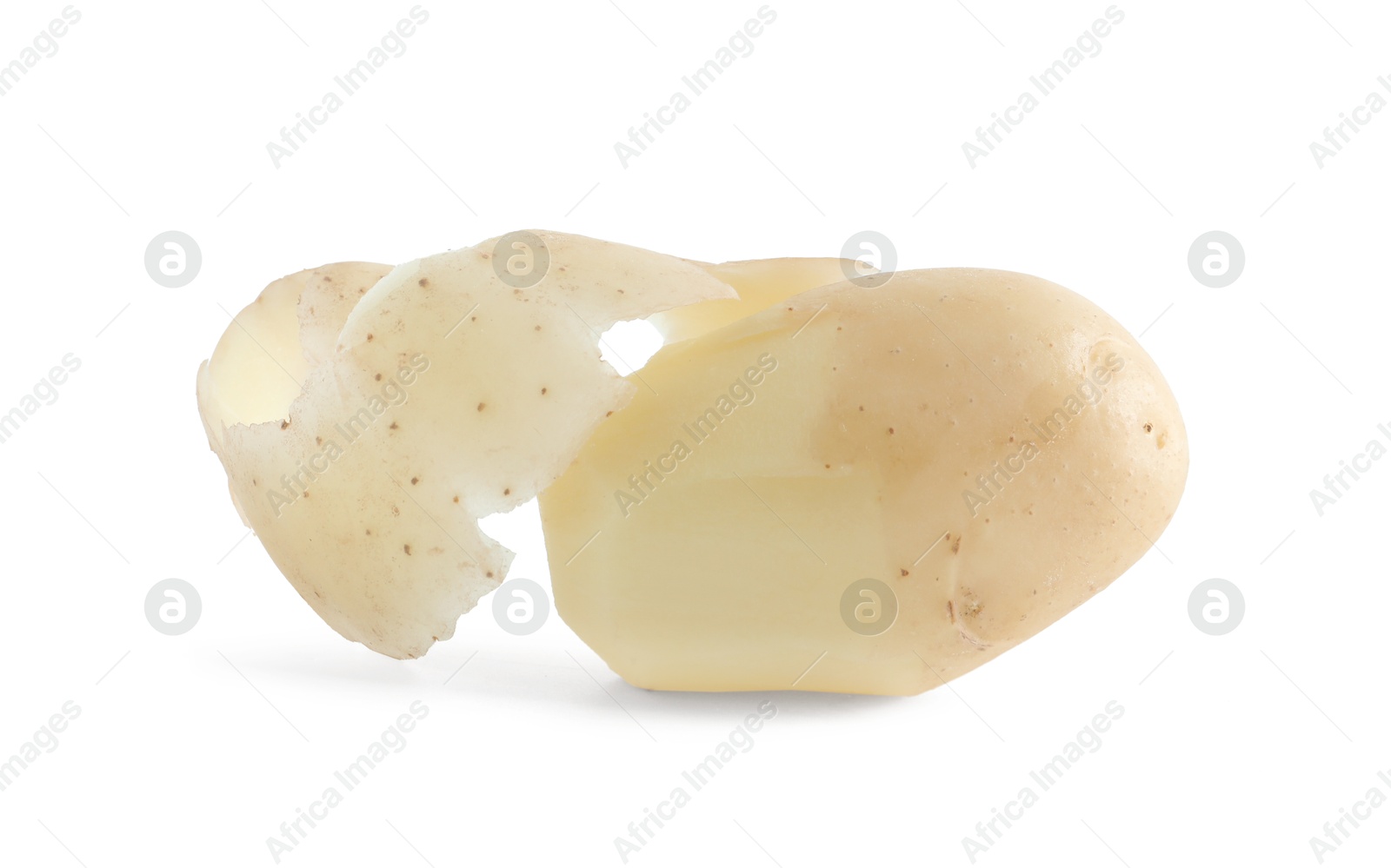 Photo of One fresh raw potato isolated on white