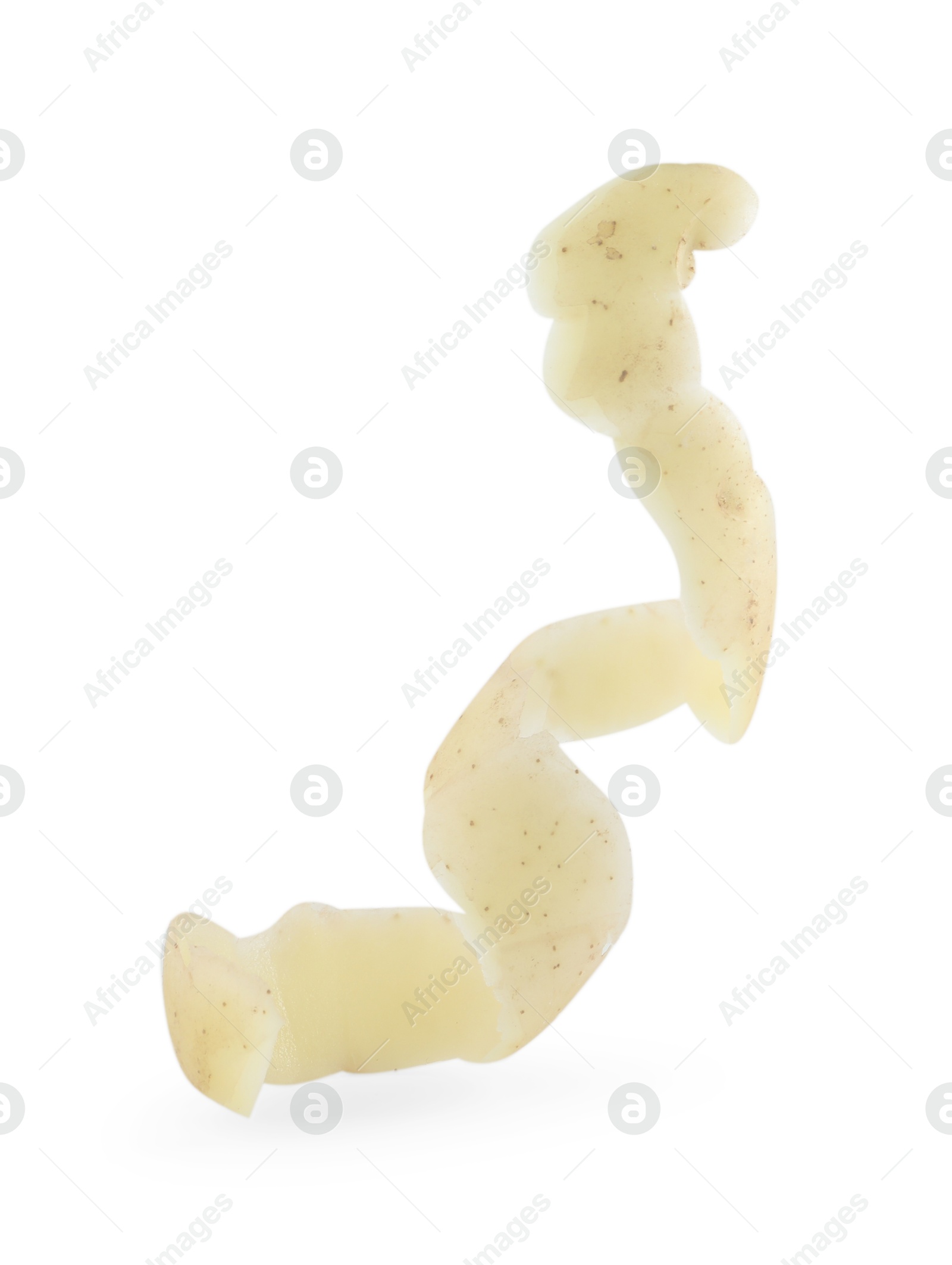 Photo of Potato peel isolated on white. Food waste