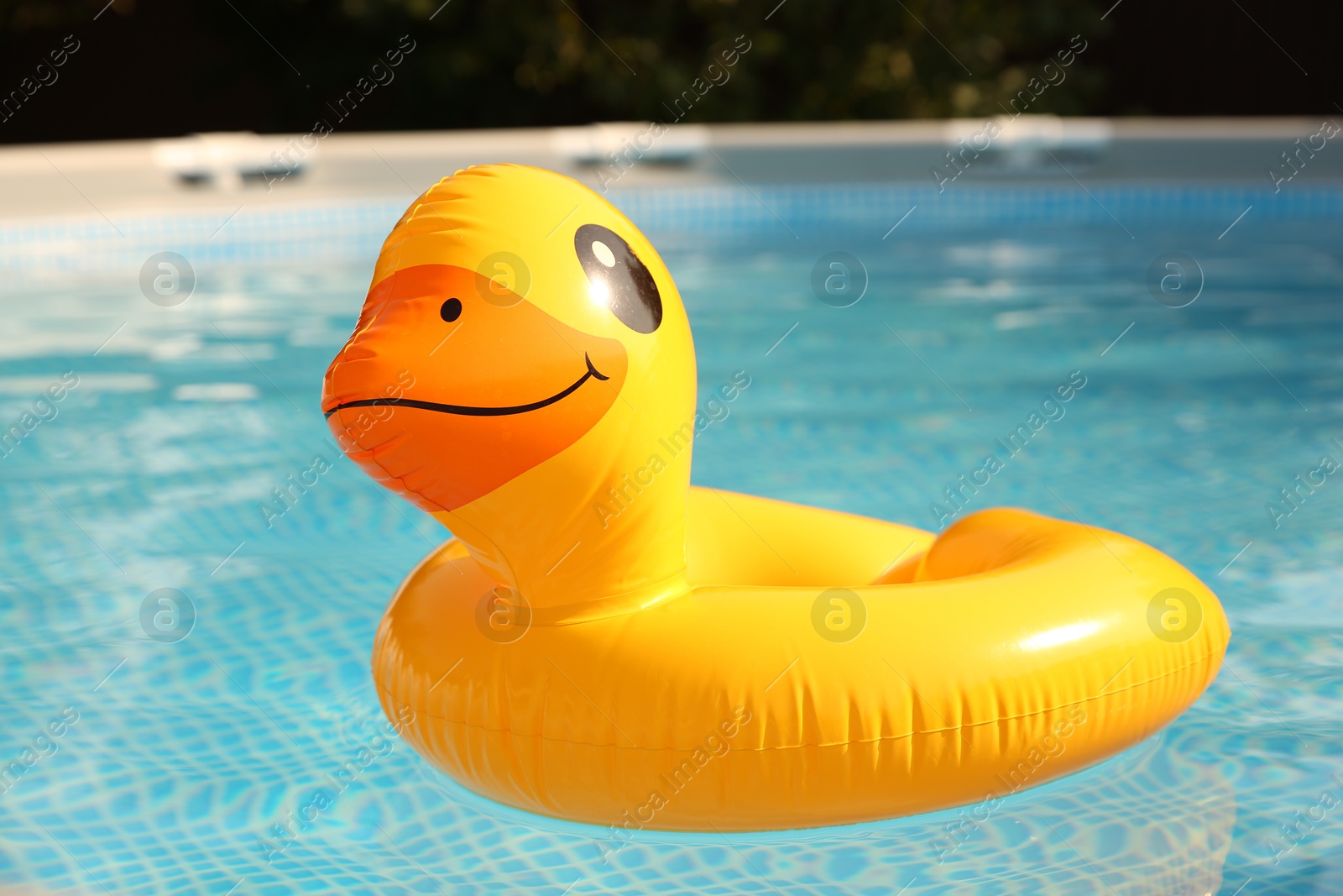 Photo of Inflatable duck shaped ring on water in above ground swimming pool outdoors