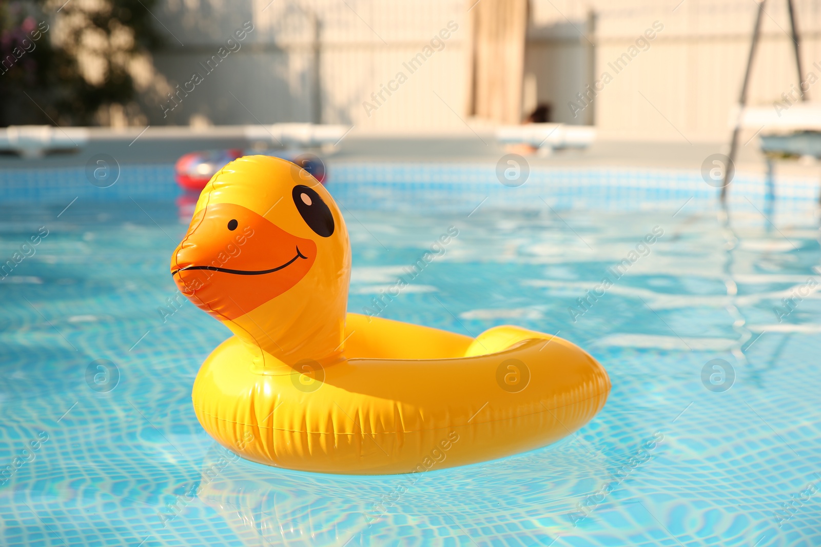 Photo of Inflatable duck shaped ring on water in above ground swimming pool outdoors