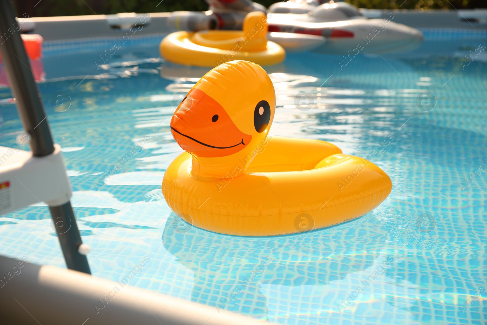 Photo of Inflatable duck shaped ring on water in above ground swimming pool outdoors