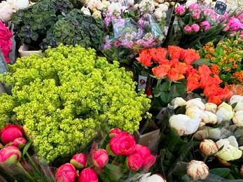 Photo of Assortment of beautiful flowers in floral shop, closeup