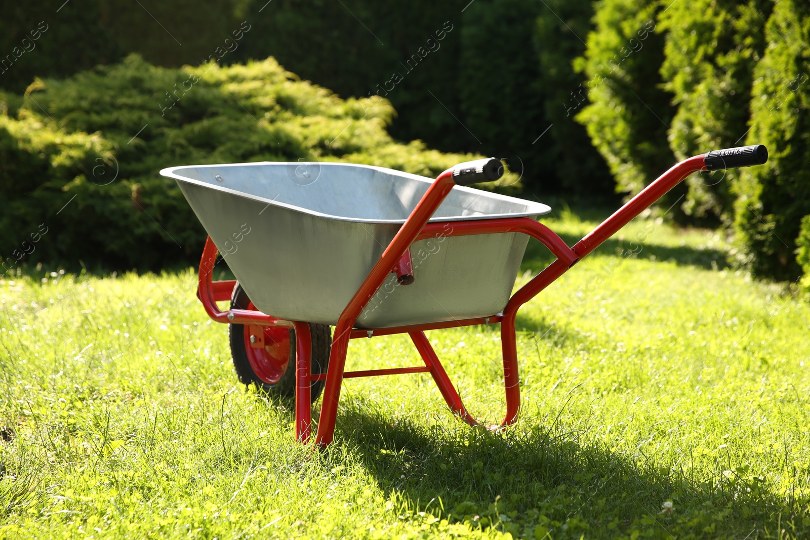 Photo of One wheelbarrow on green grass in garden